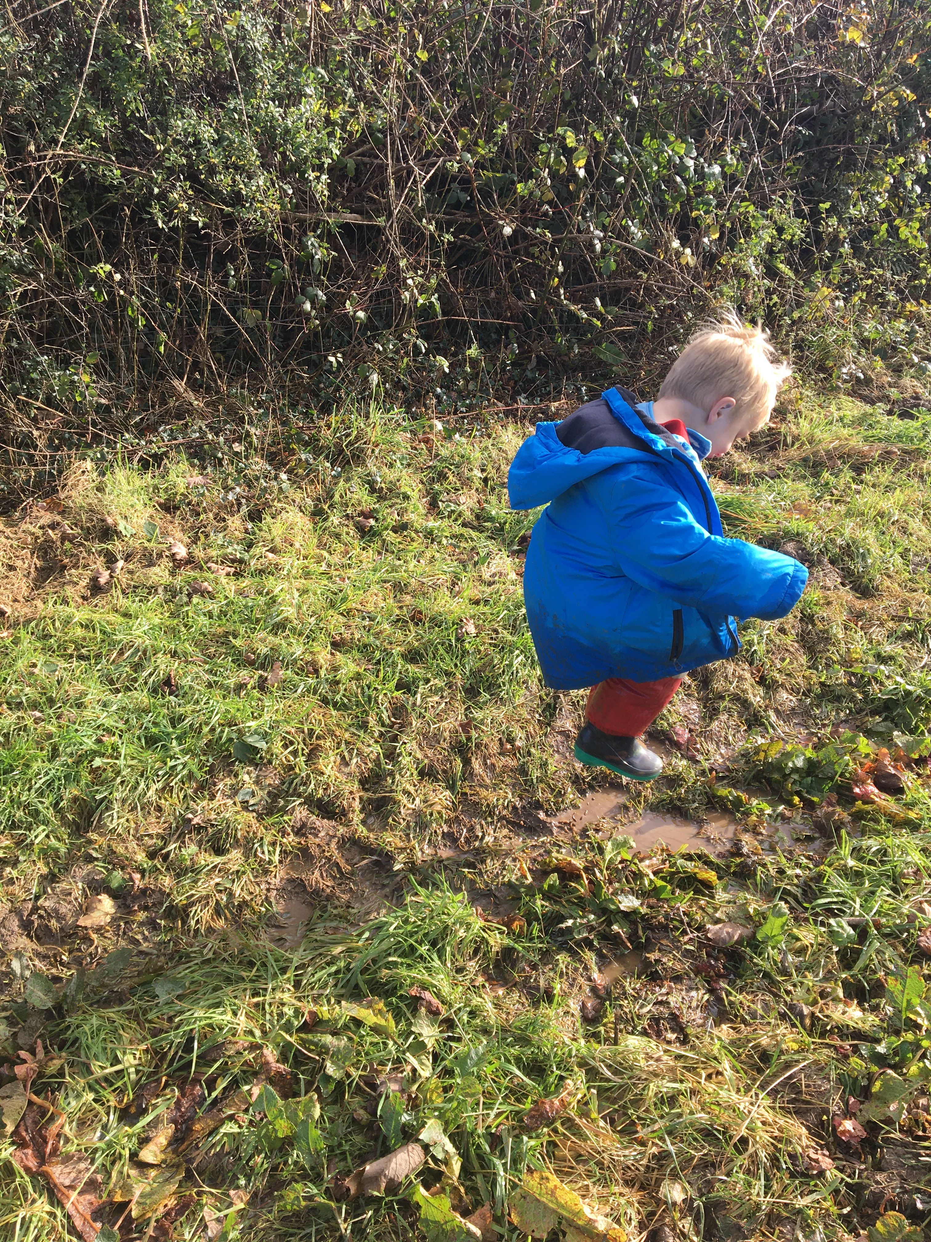 Smallholding update!