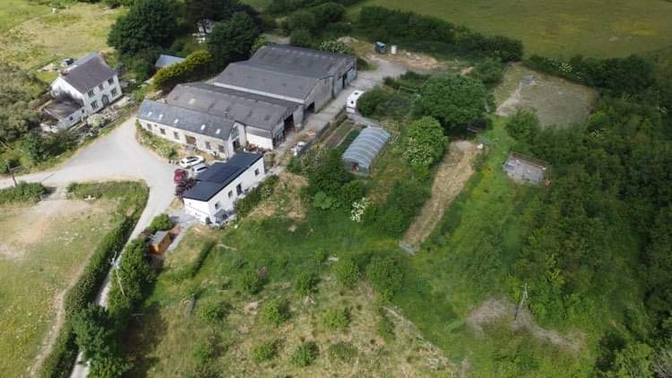 From Craft Table to Sheepfold: The Evolution of My Yarn Business